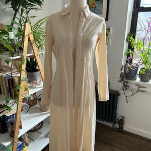 Everlane 100% cotton shirt dress